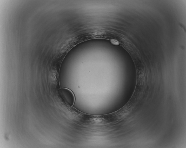 X0000100870654200806271114