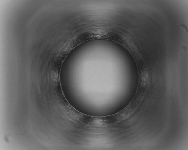 X0000100870657200806271114