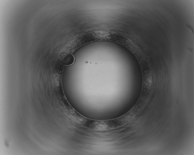 X0000100870658200806271114