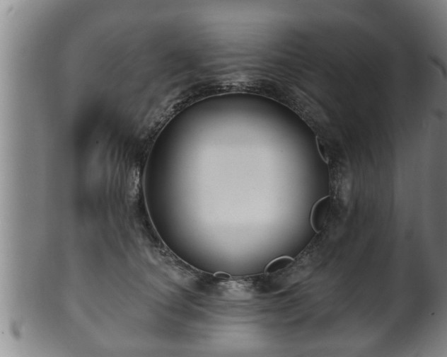 X0000100870660200806271114