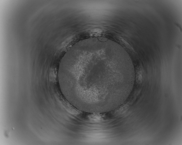 X0000100870661200806271114