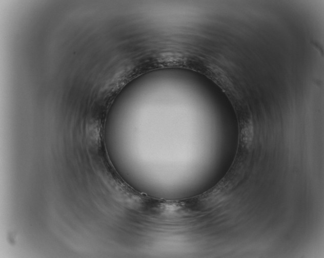 X0000100870662200806271114