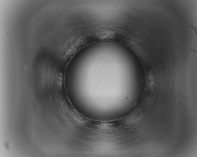 X0000100870664200806271114