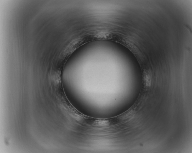 X0000100870665200806271114