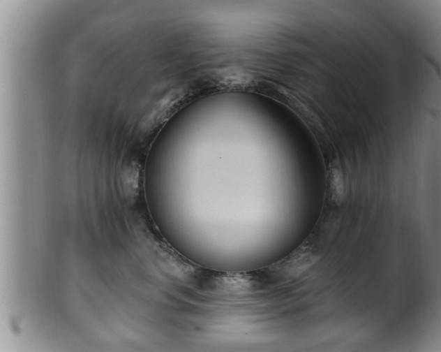 X0000100870668200806271114