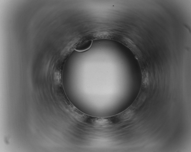 X0000100870669200806271114