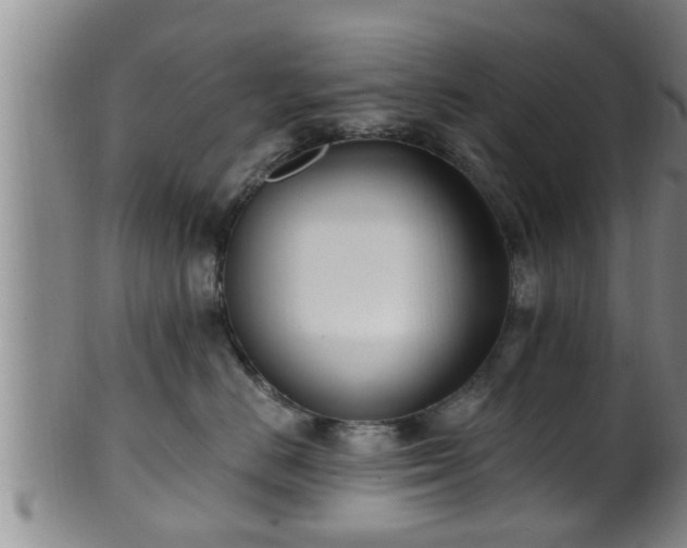 X0000100870670200806271114