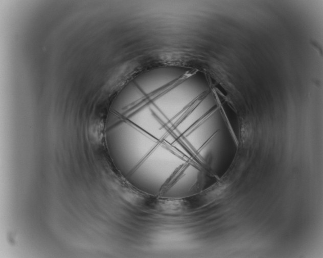 X0000100870671200806271114