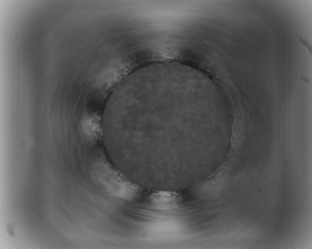 X0000100870672200806271114