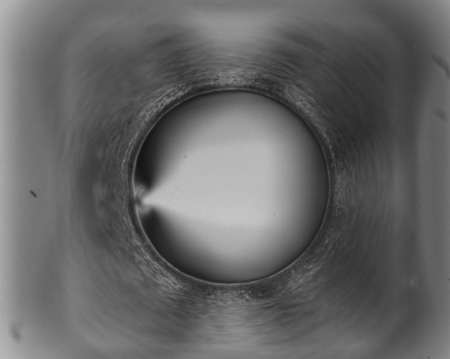 X0000100870673200806271113