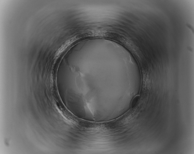 X0000100870674200806271113