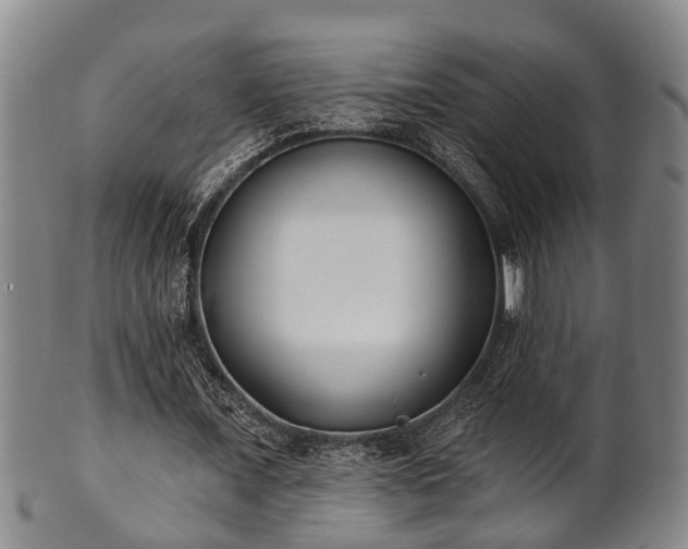 X0000100870675200806271113