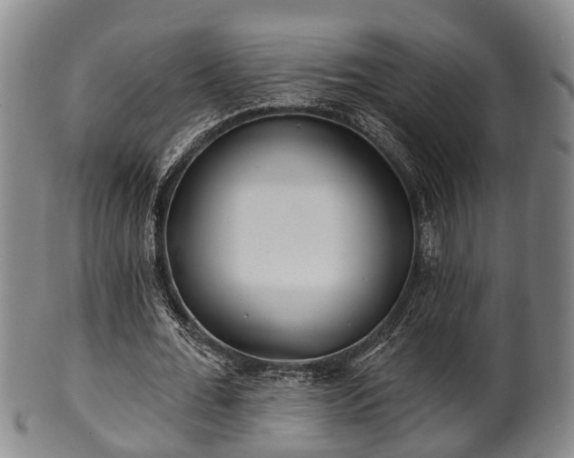 X0000100870676200806271113