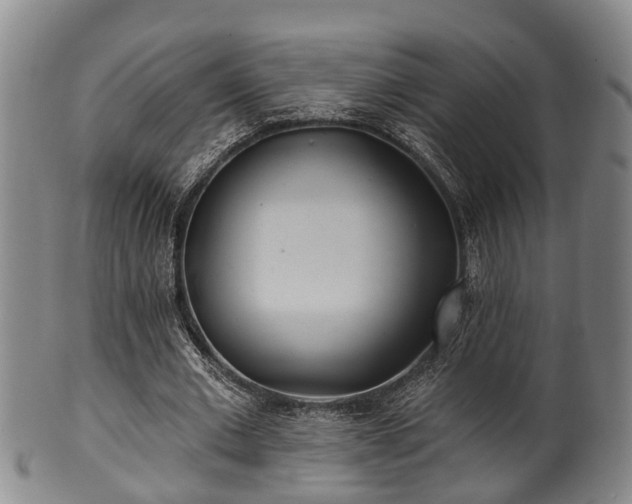 X0000100870677200806271113