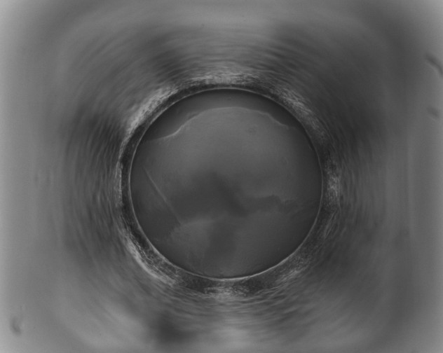 X0000100870678200806271113