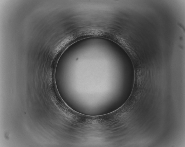 X0000100870679200806271113