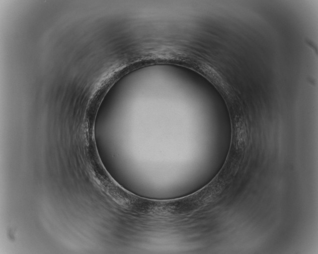 X0000100870680200806271113