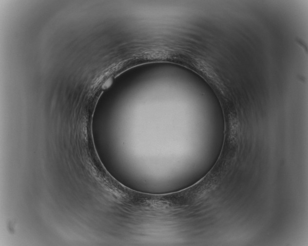 X0000100870681200806271113