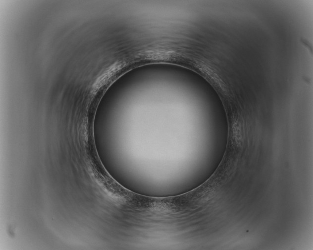 X0000100870682200806271113