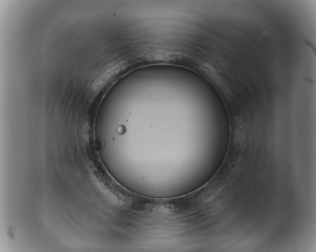 X0000100870683200806271113