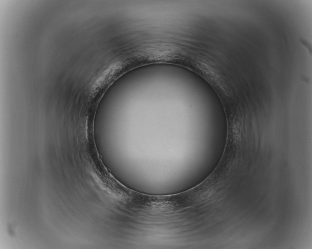 X0000100870686200806271113