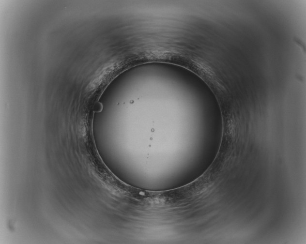 X0000100870687200806271113