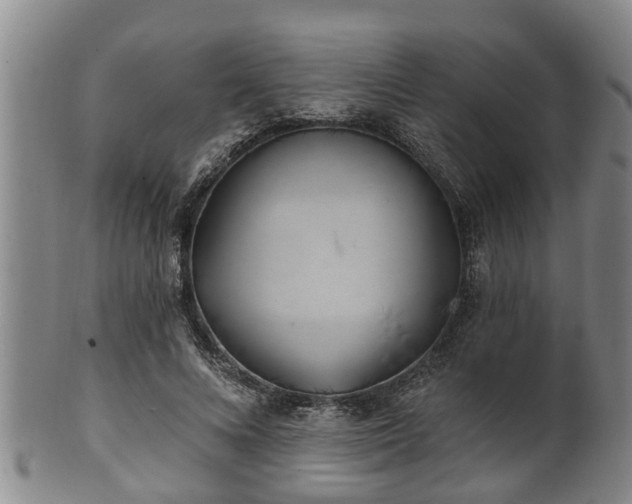 X0000100870688200806271113