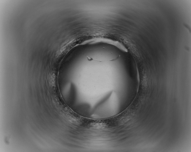 X0000100870689200806271113