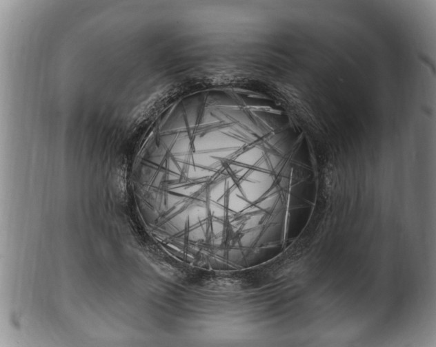 X0000100870691200806271113