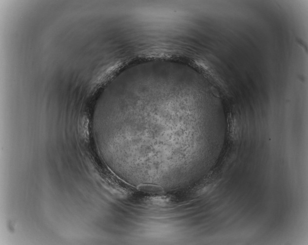 X0000100870692200806271113