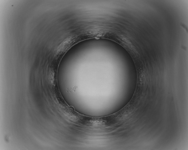 X0000100870693200806271113