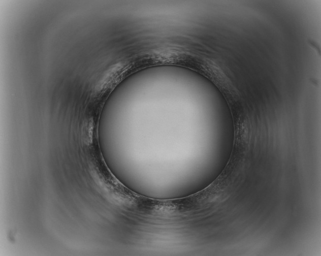 X0000100870694200806271113