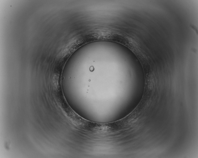 X0000100870695200806271113