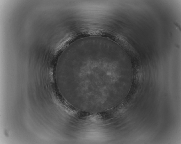 X0000100870696200806271113