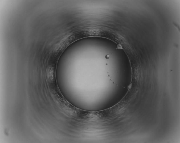 X0000100870697200806271113