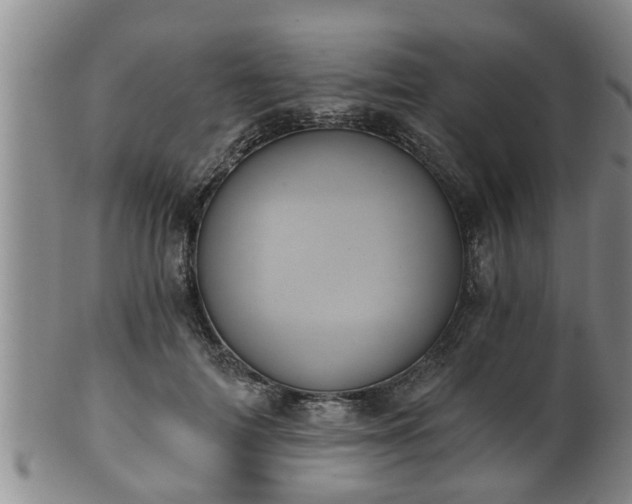 X0000100870698200806271113