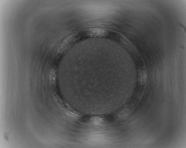 X0000100870701200806271113