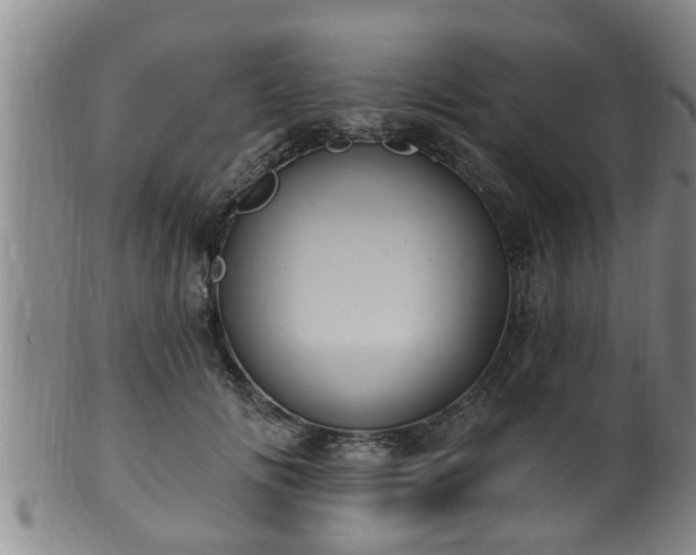 X0000100870702200806271113