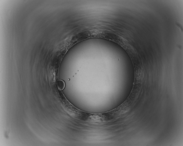 X0000100870703200806271113