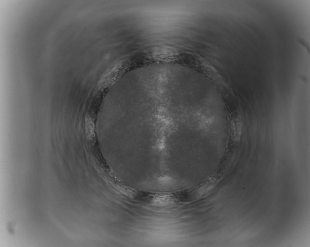 X0000100870705200806271113