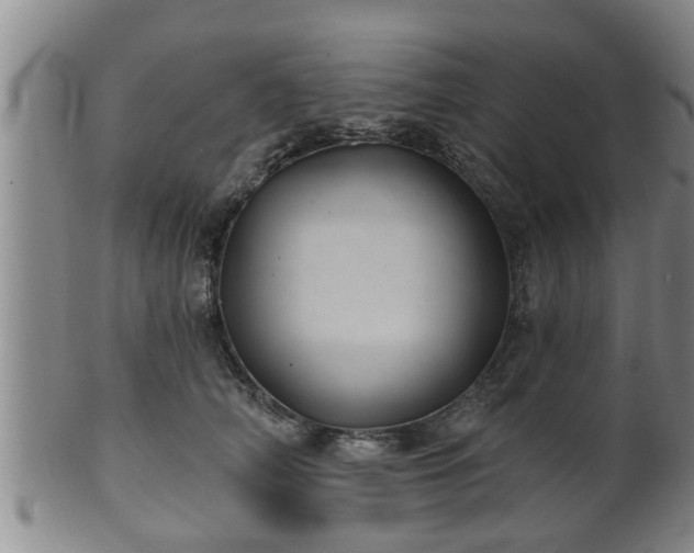 X0000100870706200806271113