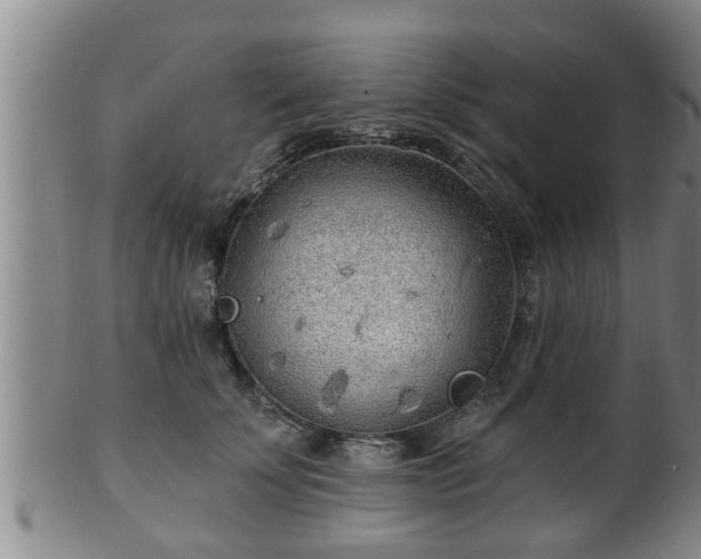 X0000100870707200806271113