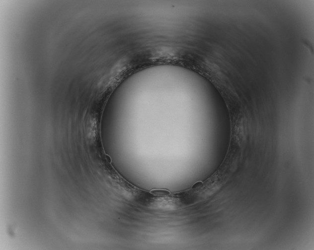 X0000100870708200806271113