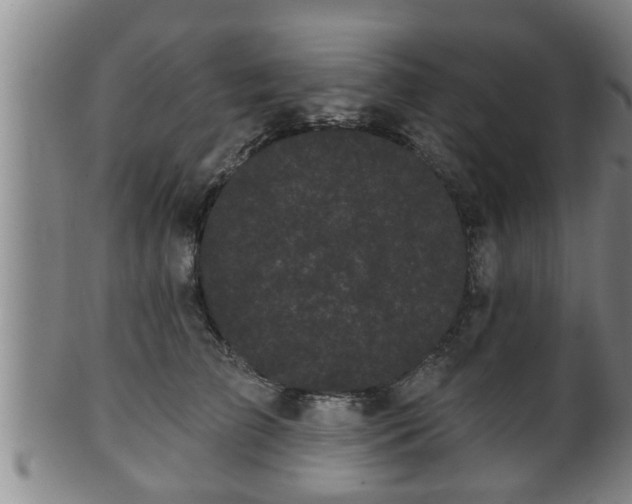 X0000100870709200806271113