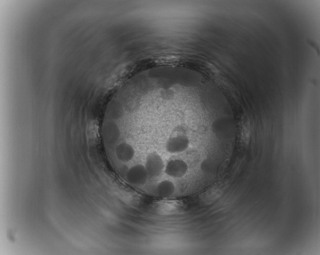 X0000100870711200806271113