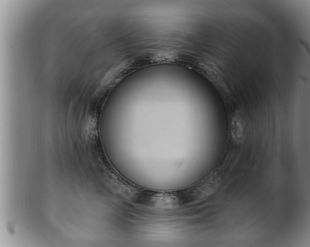 X0000100870714200806271113