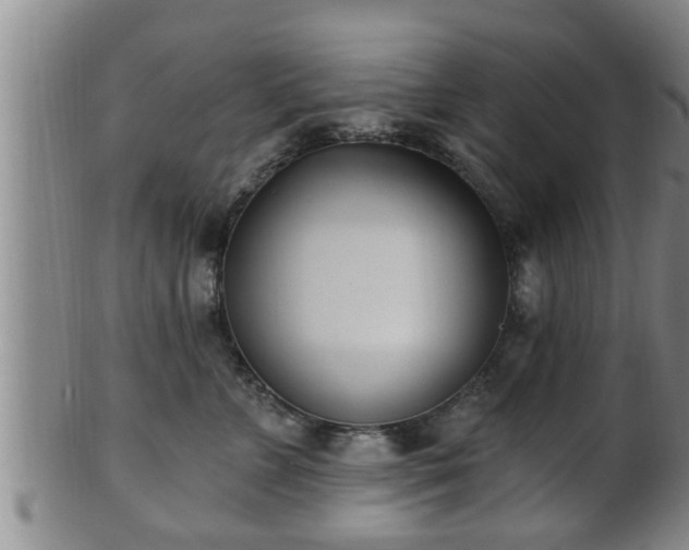 X0000100870715200806271113