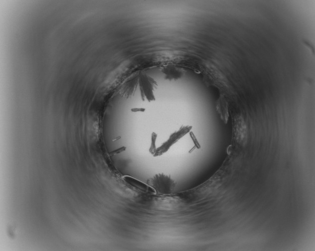 X0000100870716200806271113