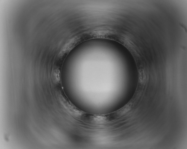 X0000100870718200806271113