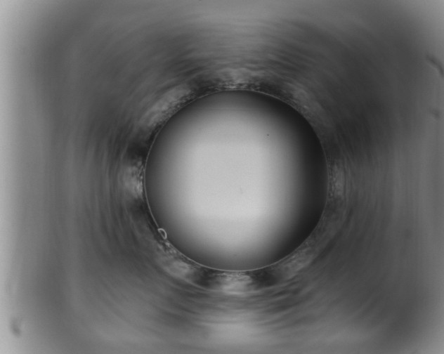 X0000100870719200806271113